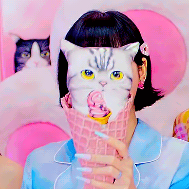 Curious cat
